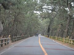 帰りは虹の松原を通り