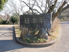 日本平パークウェイを通りセンターへ。ランチに時間をかけすぎ15時になっていたのでロープウェイは諦め富士山鑑賞です。