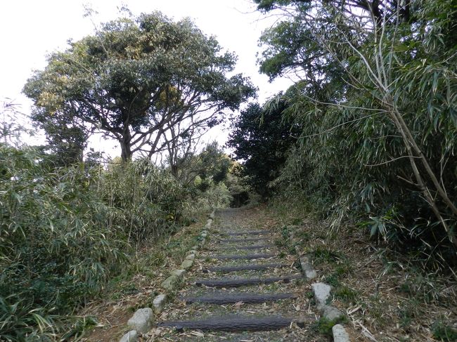 倉瀬展望台まで、あと一息。<br />白浜港から３５分。<br />島の紹介では２０分ですが、絶対に無理。