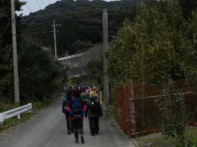 地島を歩く会の人たち。<br /><br />年齢は私の１・５から１・７倍くらいの人たち。<br /><br />お元気ですね。やはり健康第一ですね。<br /><br />最近、人生疲れてきました。<br /><br />この人たちを見て、私も頑張らないとと。<br /><br />すごく気分が明るくなりました。<br /><br />旅に出ると、新しい発見がありますね。