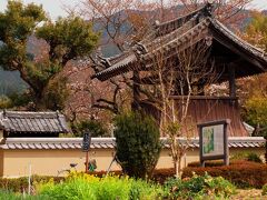 飛鳥寺（正式名＝鳥形山 安居院）

6世紀末から7世紀初めに蘇我馬子が建てた日本最古の本格的仏教寺院です。
創建時のものは塔と金堂の礎石だけが残っています。
本尊の銅造釈迦如来坐像（重要文化財）は「飛鳥大仏」という通称で親しまれているそうです。
いわゆる大仏様とは雰囲気が違うお顔をしています。


蘇我入鹿首塚（写真なしです）　

飛鳥寺の山門の見えるところに立つ石で出来た小振りの五輪塔です。
中大兄皇子らに暗殺された時の権力者・蘇我入鹿の首がここまで飛んできたとかで、襲ってきた首を供養するためにここに埋めたといわれています。
