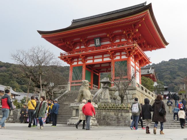 堂々たる門構えの仁王門です。立派ですね。