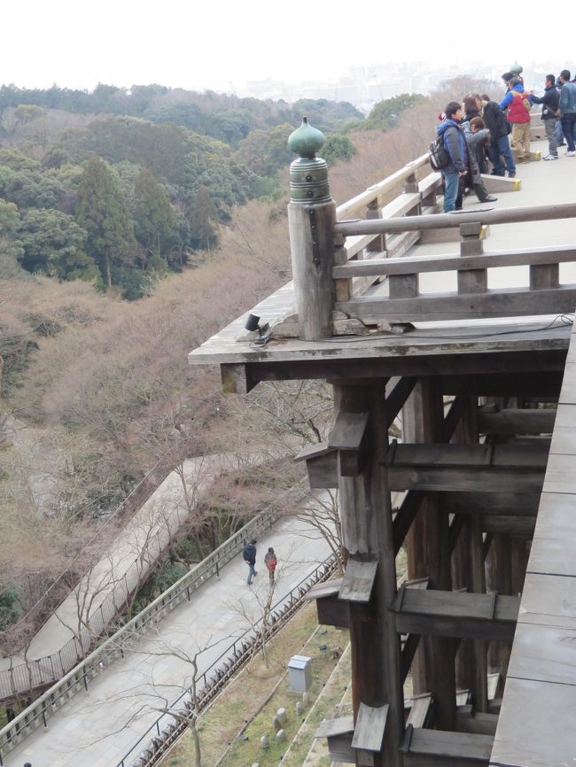 いよいよ本堂、清水の舞台です。<br />中学生の頃はもっと高〜く感じた気が…。<br />僅かな記憶がうっすらと蘇ります。<br />