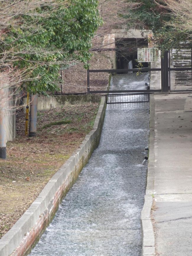 南禅寺から銀閣寺までの間に水路がありました。<br />この清らかな水の流れをみて「すこし歩こう」なんて思ってしまいました。<br />