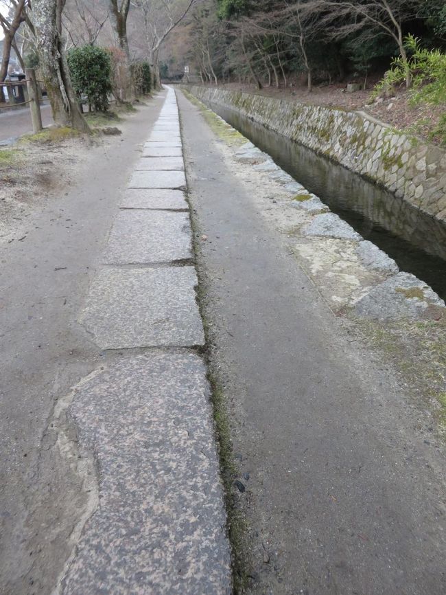 哲学の道は「日本の道100選」に入っているらしいです。<br />名古屋の久屋大通や金沢の百万石通りも「それ」に入っています。