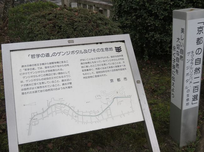 ゲンジボタルが生息しており、京都の自然二百選でもあるようです。