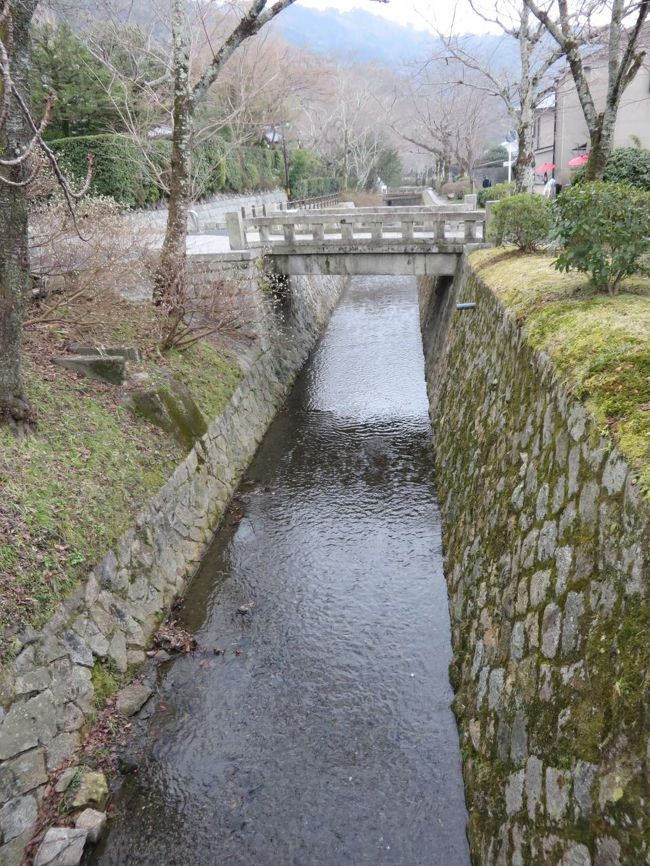 そろそろ疲れたのですが、銀閣寺はまだでしょうか…。