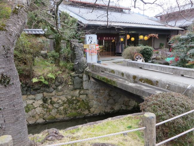 わらびもち、トゥルトゥルで美味しかったです。