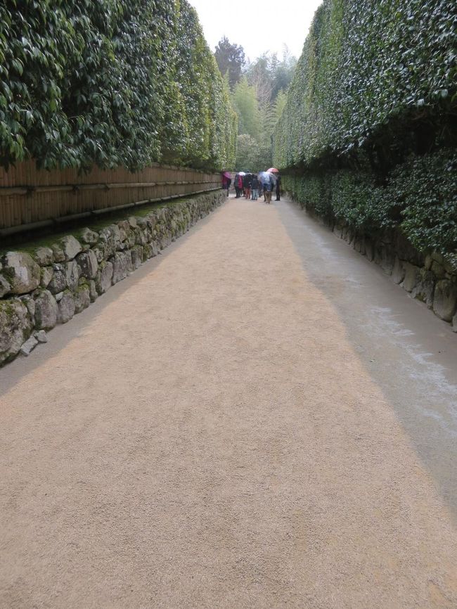 何か、ワクワクさせる道ではありませんか。