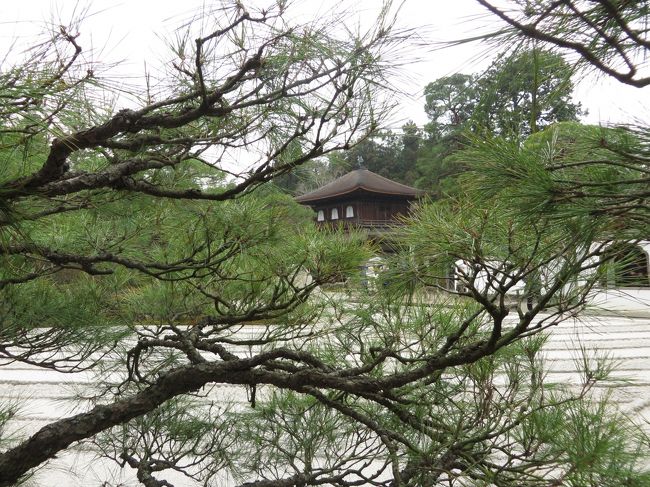 派手な金閣より地味で趣のある銀閣のほうが良いと言われる方が多い、という気持ちもわかります。