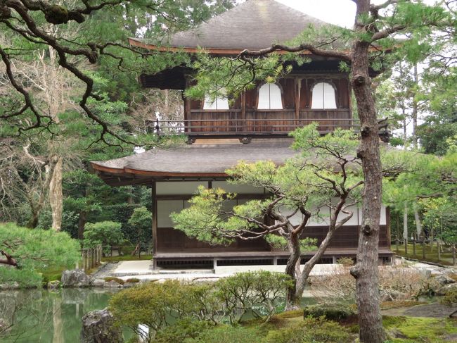 クールですね。