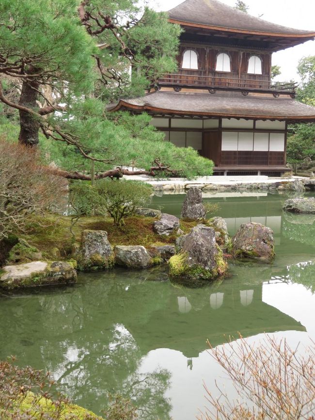 緑が合いますね。