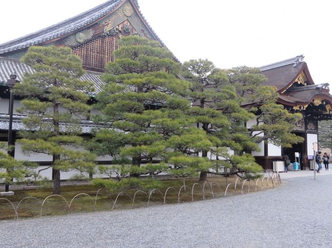 国宝、二の丸御殿に入ってみます。<br />この立派な御殿で徳川慶喜が大政奉還を発表したのですね。