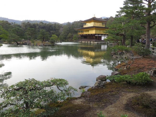 コンデジでは限界があります…。