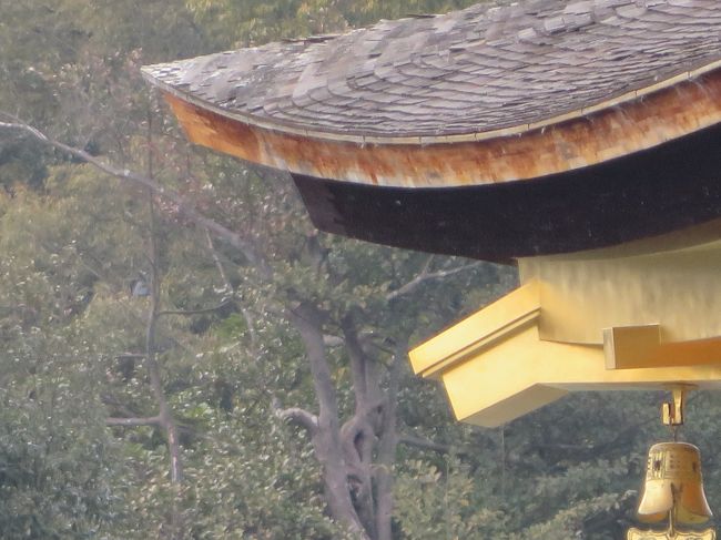 屋根とのギャップが…。