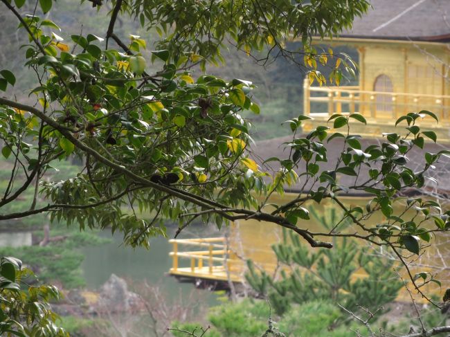 どんな角度からでも、どんな木でも一緒に写すと画になります。