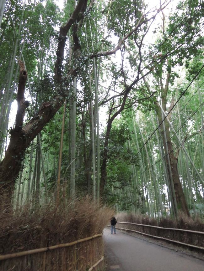 電線があるのが勿体無い。