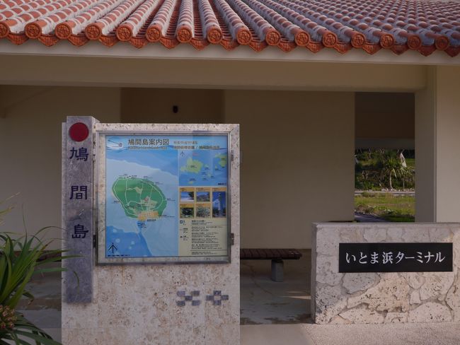 冬の鳩間航路は激揺れで厳しい船旅となりましたが、なんとか鳩間島へ上陸。通常より３０分弱余計に時間がかかりました。