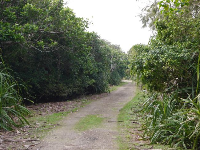 島の１周道路はほぼ未舗装。こんな感じの道が続きます。