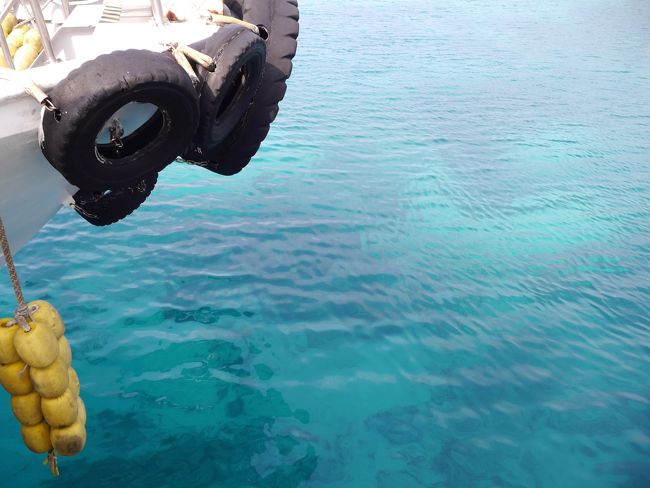 港の海の色が一番青かったです。