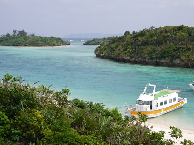 夏の時期はどのくらい青い海になるのでしょうか？