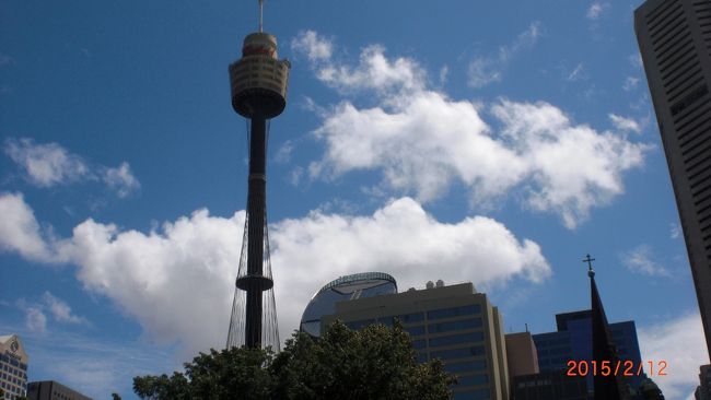 オペラハウス見学の後、お土産屋さんで卸してもらい市内半日観光は終了しました。私達はチケットを持っていたのでシドニータワーに上りました。