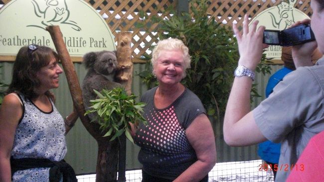 コアラと一緒に無料で写真も撮れます。