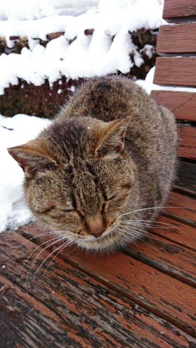 可愛いかったのでもう一枚。