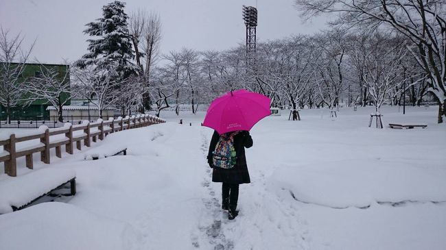 けっこうな雪。