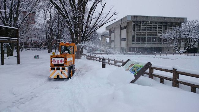 除雪作業、ご苦労様です。
