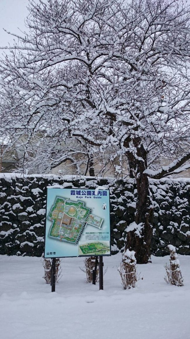 霞城公園散策。