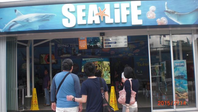 前もって手に入れておいたテーマパークの最後のチケット、無駄にせず今日使います。歩いて15分位、ダーリングハーバーの所にある小さな水族館・シーライフシドニーです。