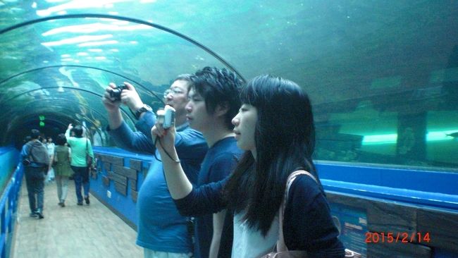 海底トンネルが何本かあり、ジュゴンも泳いでました。規模は小さいですが十分楽しめます。時間調整に最適！！