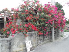 また集落内に戻り、遅めのお昼をいただきます。

ブーゲンビリアが目印の《そばカフェ あとふそこ》。

八重山民謡歌手 後冨底(あとふそこ)周二さんのお店で、三線ライブが開催される日もあるそうです。