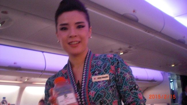 この便のビジネスクラス担当ＦＣに日本人の方が一人乗ってました。今回の旅行で往復4機の飛行機に搭乗しましたが、ビジネスクラスのコンパートメントに日本人の方がいたのは初めてでした。やっぱり日本語が通じるって素晴らしいですね。