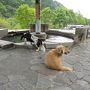 春の奥飛騨（中尾）