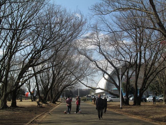 桜撮影会の下見 と本番 東川 所沢東川 航空公園 所沢 埼玉県 の旅行記 ブログ By Yamada423さん フォートラベル 桜撮影会の下見 と本番 東川 所沢東川 航空公園 所沢 埼玉県 の旅行記 ブログ By Yamada423さん フォートラベル