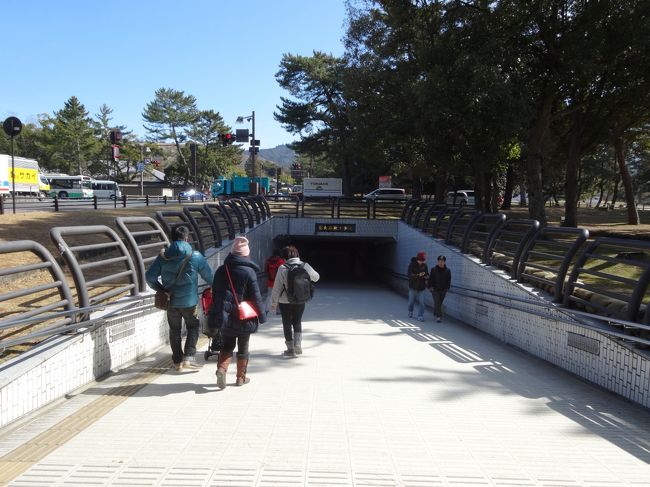 登大路地下歩道を通り東大寺方面へ進みます。