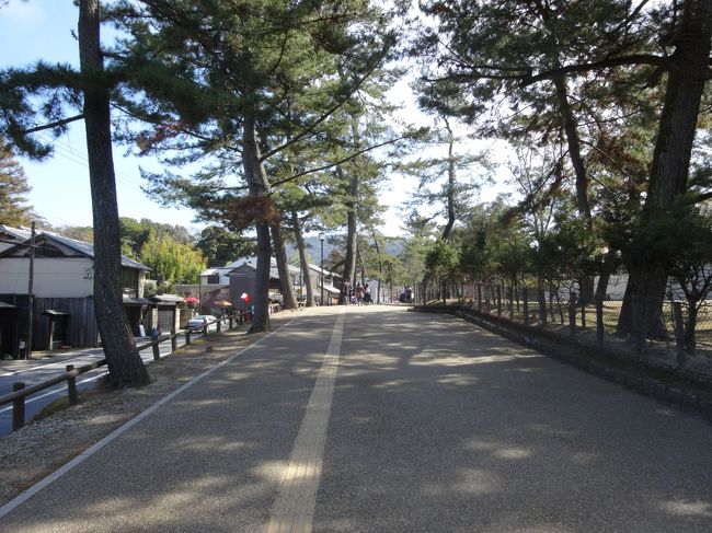 日差しがあり暖かいです。