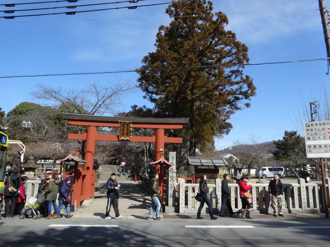 しだれ桜で有名な氷室神社です。<br />樹齢400年以上になるそうです。<br /><br />氷室神社：<br />http://www.himurojinja.jp/ 