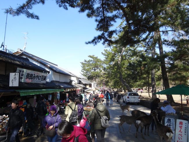 11時50分<br /><br />東大寺へ向かう参道です。<br />お土産屋や茶屋が並んでいます。