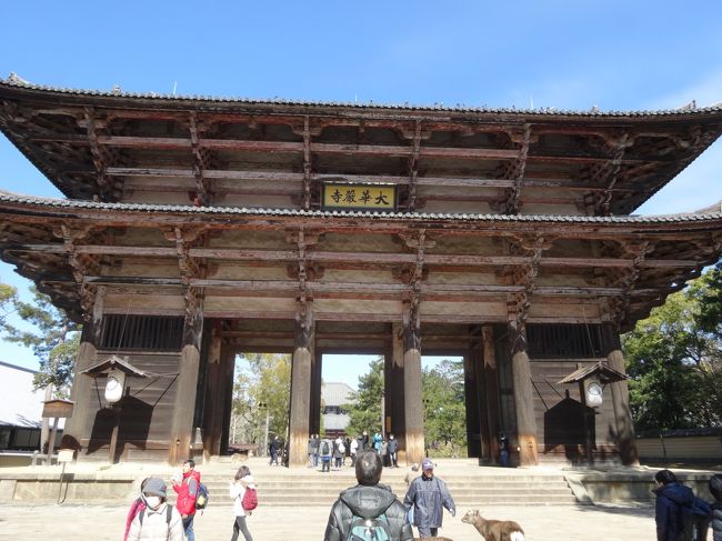 天平創建時の南大門は平安時代の台風で倒壊し、<br />現在の南大門は鎌倉時代に再建されたものです。 