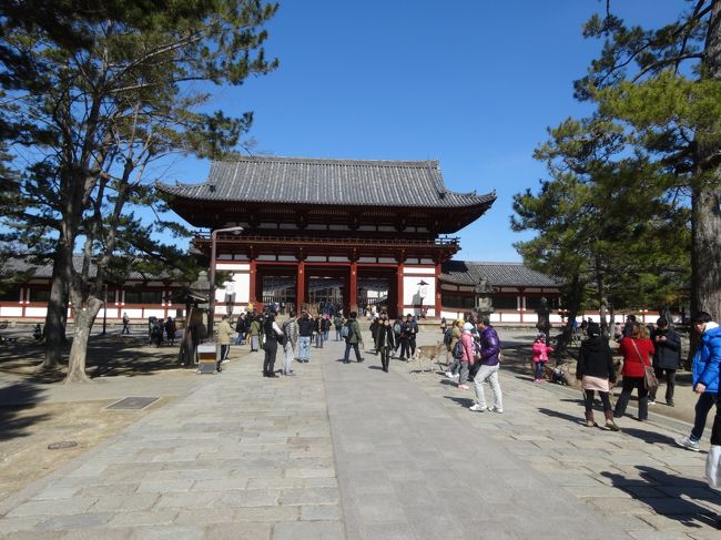 大仏殿中門が見えて来ました。