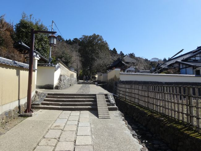 雰囲気の良い道を進みます。