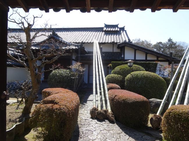 道沿いの寺院には、<br />二月堂のお水取りで使う松が準備されています。