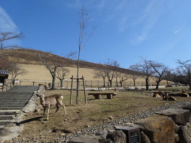 12時30分<br /><br />若草山に到着です。