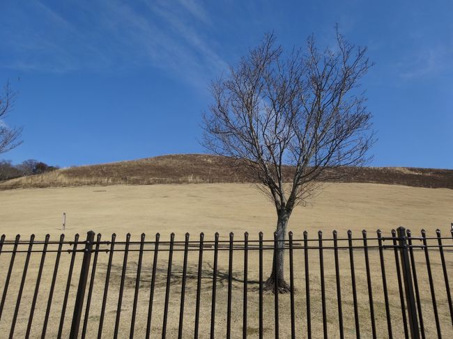 公園は閉園中でした。