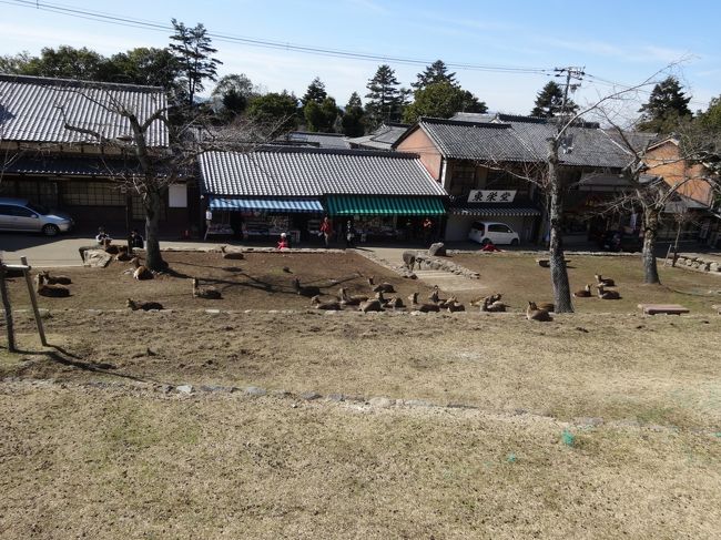 日当たりの良い椅子に座り、<br />コンビニおにぎりを昼食に食べます。