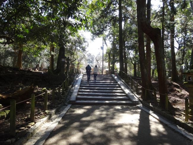 木立の中を歩きます。