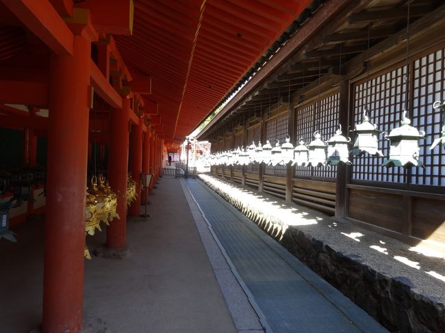 夜のライトアップは幻想的でしょうね。